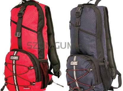 Z systemem na bukłak