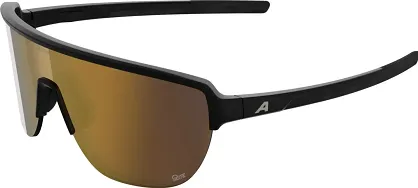 Alpina okulary RAM 2.0 Q-LITE -  Black szkło gold