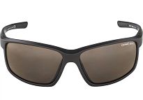 Okulary Alpina DEFEY - Tin-black szkło Cat.3 - 2