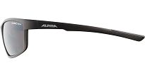Okulary Alpina DEFEY - Tin-black szkło Cat.3 - 4