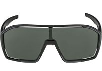 Okulary Alpina BONFIRE Q-LITE -  kolor BLACK MATT - 2
