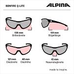 Okulary Alpina BONFIRE Q-LITE -  kolor BLACK MATT - 12