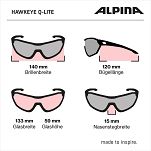 Okulary Alpina HAWKEYE Q-LITE -  kolor BRICK MATT - 12