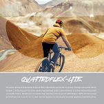 Okulary Alpina HAWKEYE Q-LITE -  kolor BRICK MATT - 11