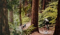 Okulary Alpina HAWKEYE Q-LITE -  kolor OLIVE MATT - 5