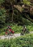 Torba na widelec Ortlieb Fork-Pack Plus 5,8L - salsa dark chili - 5