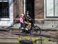 Fotelik rowerowy Qibbel 6+ Junior do 35kg - pabble grey - 11