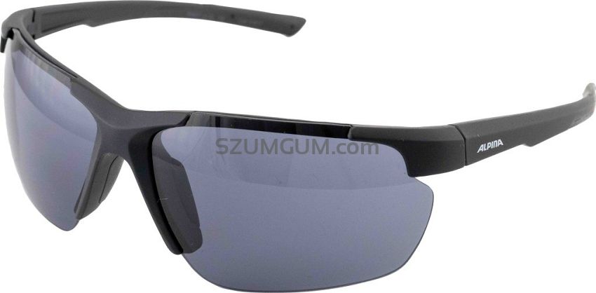 Okulary Alpina DEFEY HR -  BLACK szkło black