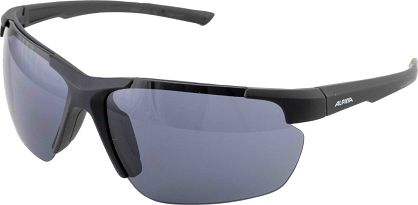 Okulary Alpina DEFEY HR -  BLACK szkło black