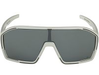 Okulary Alpina BONFIRE Q-LITE - kolor COOL-GREY MATT - 2