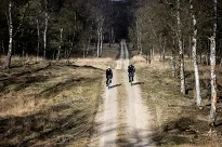 Torba na kierownicę  BBB Front Fellow Handlebar Bag 10 L - 10