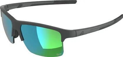 Alpina okulary EAGLE Q-LITE - midnight-grey - szkło green