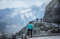 Lekka kurtka softshell Rogelli RADIUS z oddychającymi panelami na lekką zimę, ciemnoniebieska - 7