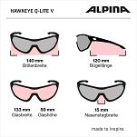 Okulary Alpina HAWKEYE Q-LITE V - kolor BLACK MATT - 15