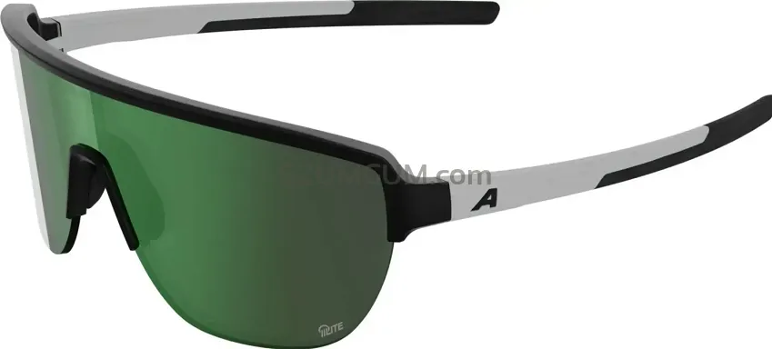 Alpina okulary RAM 2.0 Q-LITE -  Black-white - szkło green