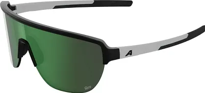Alpina okulary RAM 2.0 Q-LITE -  Black-white - szkło green