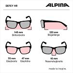 Okulary Alpina DEFEY HR , kolor BLACK MATT-WHITE - 9