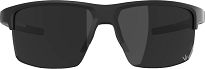 Alpina okulary EAGLE Q-LITE - black matt - szkło silver - 6
