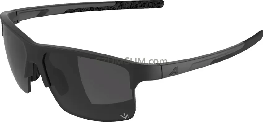 Alpina okulary EAGLE Q-LITE - black matt - szkło silver