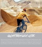 Alpina okulary EAGLE Q-LITE - black matt - szkło blue - 12