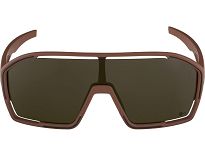 Okulary Alpina BONFIRE Q-LITE - kolor BRICK MATT - 2