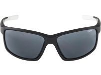 Okulary Alpina DEFEY - black white - szkło black Cat.3 - 2