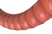 Owijka Ergon Bar Tape BT Gravel - Rusty red - 3