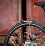 Błotnik tylny Ass Savers Win Wing Road 2 - Squid - 2